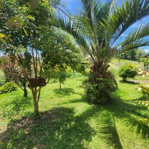 Chácara com 150m², 3 dormitórios, no bairro Apanhador em Caxias do Sul para Comprar