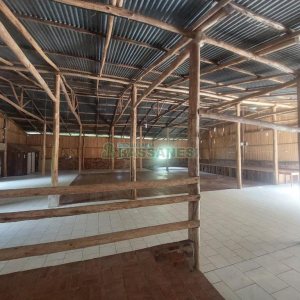 Pavilhão com 600m², no bairro Vila Cristina em Caxias do Sul para Alugar