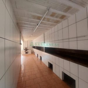 Pavilhão com 600m², no bairro Vila Cristina em Caxias do Sul para Alugar