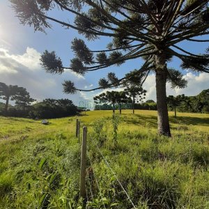 Terreno com 550000m², no bairro Vila Seca em Caxias do Sul para Comprar