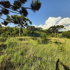 Terreno com 550000m², no bairro Vila Seca em Caxias do Sul para Comprar