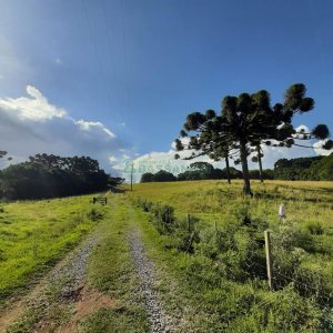 Terreno com 550000m², no bairro Vila Seca em Caxias do Sul para Comprar