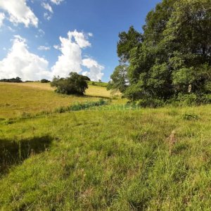 Terreno com 550000m², no bairro Vila Seca em Caxias do Sul para Comprar