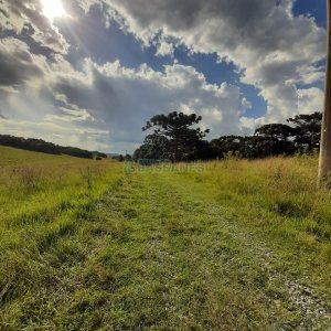 Terreno com 550000m², no bairro Vila Seca em Caxias do Sul para Comprar