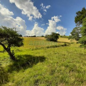 Terreno com 550000m², no bairro Vila Seca em Caxias do Sul para Comprar