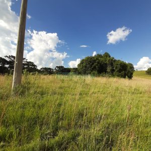 Terreno com 550000m², no bairro Vila Seca em Caxias do Sul para Comprar
