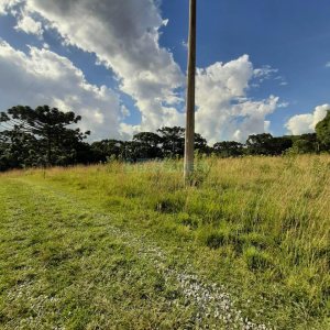 Terreno com 550000m², no bairro Vila Seca em Caxias do Sul para Comprar