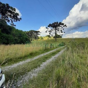 Terreno com 550000m², no bairro Vila Seca em Caxias do Sul para Comprar