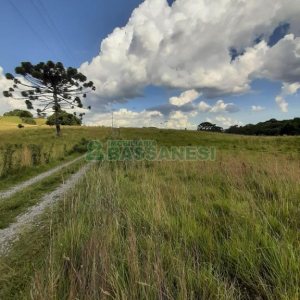 Terreno com 550000m², no bairro Vila Seca em Caxias do Sul para Comprar