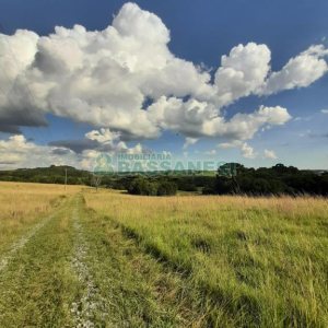 Terreno com 550000m², no bairro Vila Seca em Caxias do Sul para Comprar