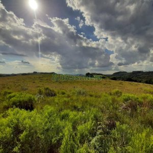 Terreno com 550000m², no bairro Vila Seca em Caxias do Sul para Comprar
