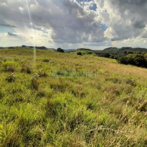 Terreno com 550000m², no bairro Vila Seca em Caxias do Sul para Comprar
