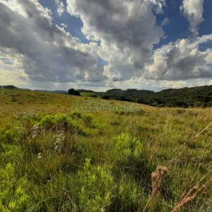 Terreno com 550000m², no bairro Vila Seca em Caxias do Sul para Comprar