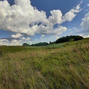 Terreno com 550000m², no bairro Vila Seca em Caxias do Sul para Comprar