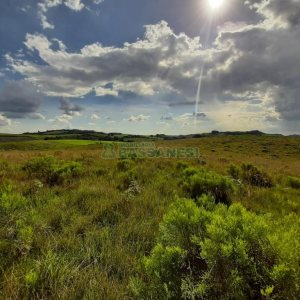 Terreno com 550000m², no bairro Vila Seca em Caxias do Sul para Comprar