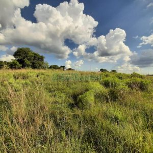 Terreno com 550000m², no bairro Vila Seca em Caxias do Sul para Comprar