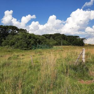 Terreno com 550000m², no bairro Vila Seca em Caxias do Sul para Comprar