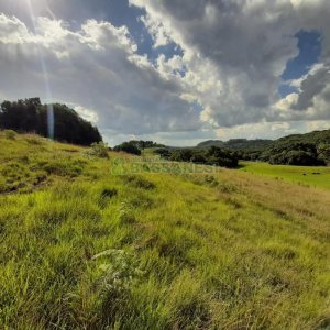 Terreno com 550000m², no bairro Vila Seca em Caxias do Sul para Comprar