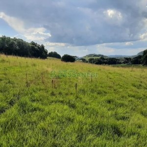 Terreno com 550000m², no bairro Vila Seca em Caxias do Sul para Comprar