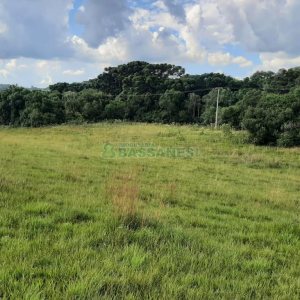 Terreno com 550000m², no bairro Vila Seca em Caxias do Sul para Comprar