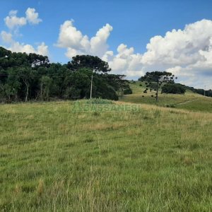 Terreno com 550000m², no bairro Vila Seca em Caxias do Sul para Comprar