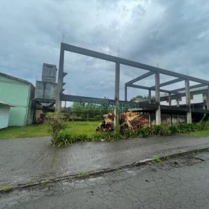 Pavilhão com 700m², no bairro Desvio Rizzo em Caxias do Sul para Comprar