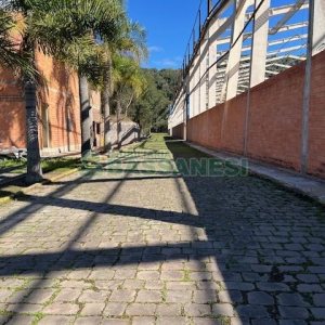 Pavilhão com 1375m², no bairro Otavio Rocha em Flores da Cunha para Alugar