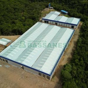 Pavilhão com 1375m², no bairro Otavio Rocha em Flores da Cunha para Alugar