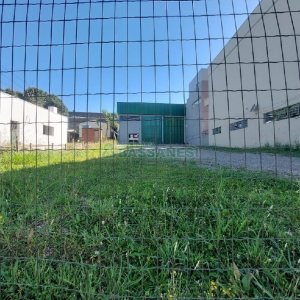 Pavilhão com 228m², no bairro Jardim Eldorado em Caxias do Sul para Alugar