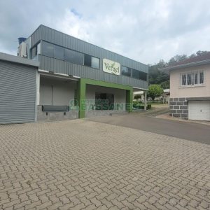 Pavilhão com 1000m², no bairro Maestra em Caxias do Sul para Alugar
