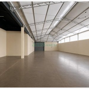 Pavilhão com 1000m², no bairro Maestra em Caxias do Sul para Alugar