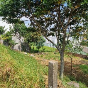 Terreno, no bairro Cinqüentenário em Caxias do Sul para Comprar