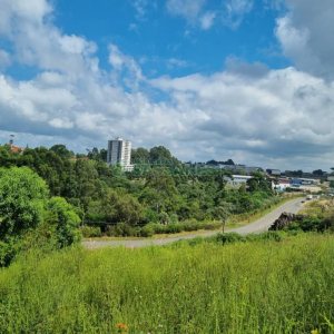 Terreno com 2790m², no bairro Sanvitto em Caxias do Sul para Comprar
