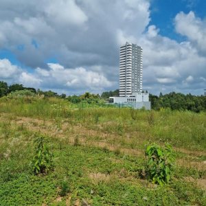 Terreno com 2790m², no bairro Sanvitto em Caxias do Sul para Comprar