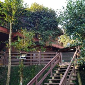 Chácara com 325m², 4 dormitórios, 3 vagas, no bairro Pedancino em Caxias do Sul para Comprar