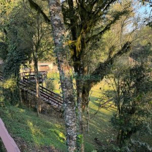 Chácara com 325m², 4 dormitórios, 3 vagas, no bairro Pedancino em Caxias do Sul para Comprar