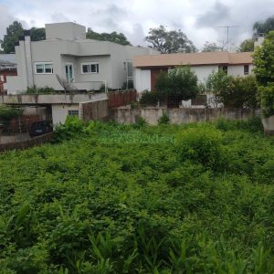 Terreno com 342m², no bairro Cinqüentenário em Caxias do Sul para Comprar