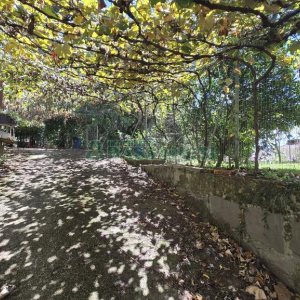 Casa com 500m², 4 dormitórios, 4 vagas, no bairro Esplanada em Caxias do Sul para Comprar