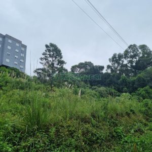 Terreno com 516m², no bairro Bela Vista em Caxias do Sul para Comprar