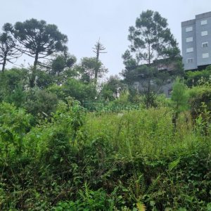 Terreno com 516m², no bairro Bela Vista em Caxias do Sul para Comprar