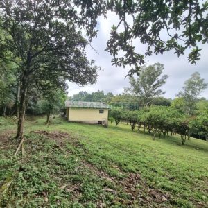 Chácara com 80m², 2 dormitórios, no bairro 3 Legua em Caxias do Sul para Comprar
