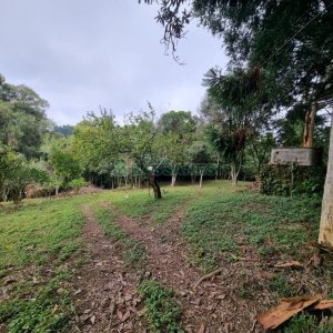 Chácara com 80m², 2 dormitórios, no bairro 3 Legua em Caxias do Sul para Comprar