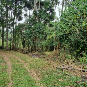 Chácara com 80m², 2 dormitórios, no bairro 3 Legua em Caxias do Sul para Comprar