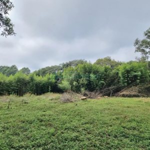 Chácara com 80m², 2 dormitórios, no bairro 3 Legua em Caxias do Sul para Comprar