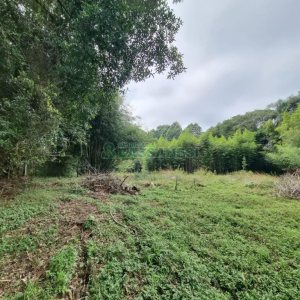 Chácara com 80m², 2 dormitórios, no bairro 3 Legua em Caxias do Sul para Comprar