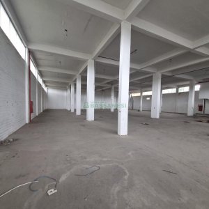 Pavilhão com 2532m², no bairro Sagrada Família em Caxias do Sul para Alugar ou Comprar