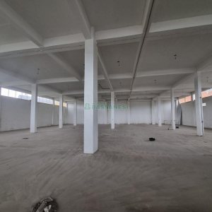 Pavilhão com 2532m², no bairro Sagrada Família em Caxias do Sul para Alugar ou Comprar