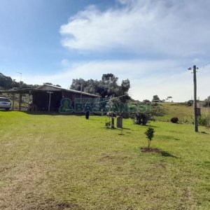 Terreno com 100m², no bairro Criúva em Caxias do Sul para Comprar