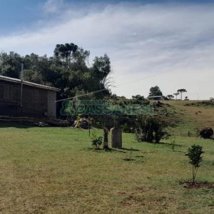 Terreno com 100m², no bairro Criúva em Caxias do Sul para Comprar