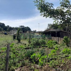Terreno com 100m², no bairro Criúva em Caxias do Sul para Comprar
